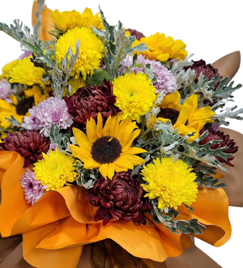 chrysanthemum, krizantem, kasımpatı, krc çiçek, maslak çiçek