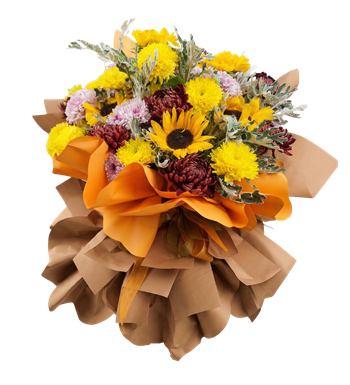 chrysanthemum, krizantem, kasımpatı, krc çiçek, maslak çiçek