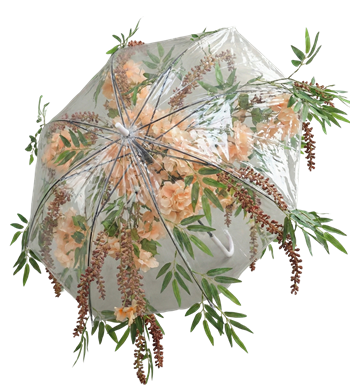 şeffaf şemsiye, çiçekli şemsiye, gelin şemsiyesi, dış çekim