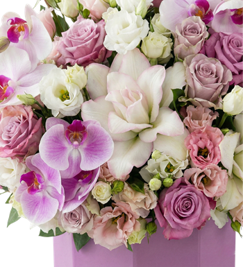 kutuda çiçek, lila gül aranjmanı,orkide tasarım,altıgen kutu