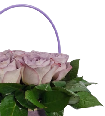 lila gül, kutuda çiçek, tasarım çiçek, gül aranjmanı, hediye