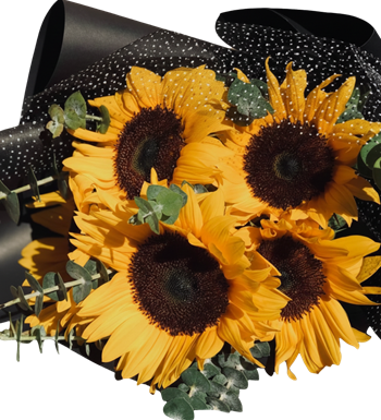 ayçiçeği buketi,siyah paket çiçek,tasarım çiçek,ayçiçeği al