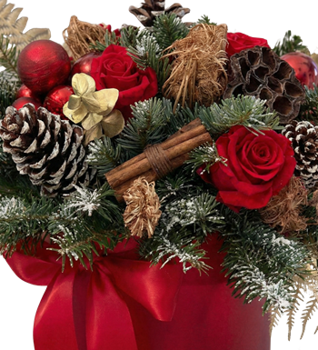 kırmızı gül kutusu, christmas flower, hediye