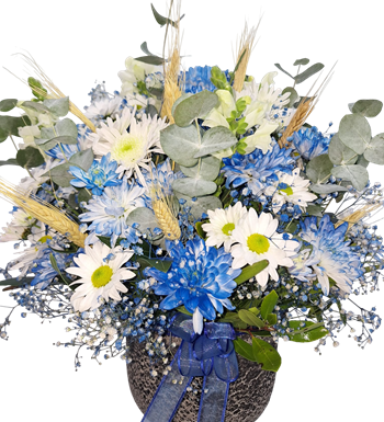 krizantem çiçeği, kasımpatı çiçek siparişi, çiçek siparişi