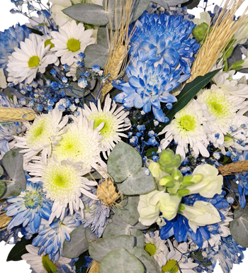 krizantem çiçeği, kasımpatı çiçek siparişi, çiçek siparişi