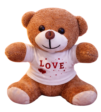 Sevimli Oyuncak Ayı