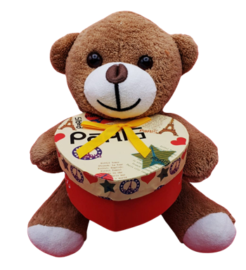 Kutulu Kahverengi Ayıcık