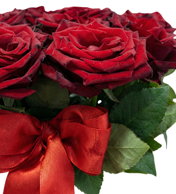 kutuda gül, kırmızı güller, çiçek aranjmanı, hediye çiçek