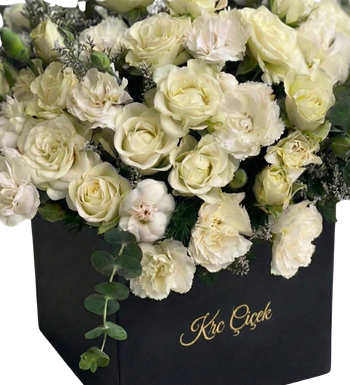 siyah küp kutu, küp çiçek, modern gül tasarım