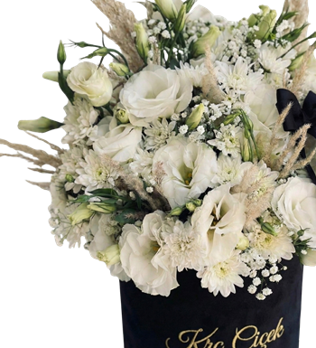 siyah silindir kutu, beyaz gül, çiçek, krc çiçek