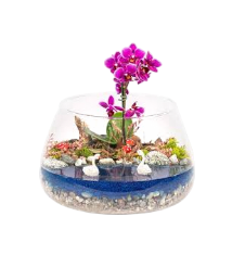 Ev Hediyesi Çiçekleri kategori ikonu