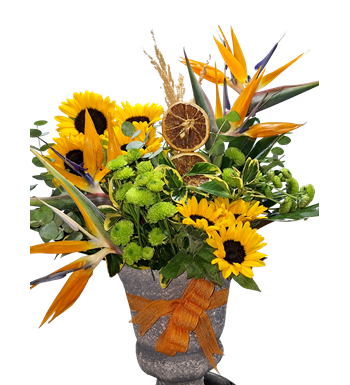 cennet kuşu çiçeği, krc çiçek, maslak çiçekçi, çiçek al