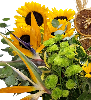 cennet kuşu çiçeği, krc çiçek, maslak çiçekçi, çiçek al