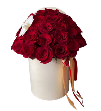 Kırmızı Gül, Beyaz Orkide, Kutu Çiçek