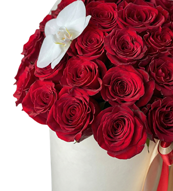 Kırmızı Gül, Beyaz Orkide, Kutu Çiçek