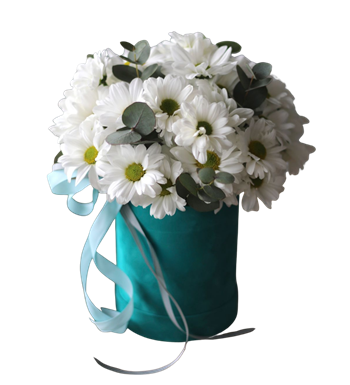 turkuaz kutuda papatya, modern çiçek, papatya kutusu, hediye