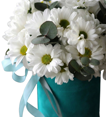 turkuaz kutuda papatya, modern çiçek, papatya kutusu, hediye