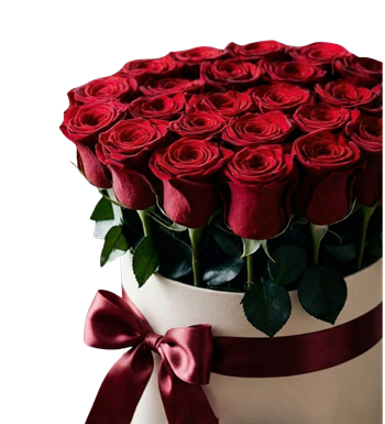 kutuda gül, silindir kutu çiçek, kutu gül, gül kutusu, aşk