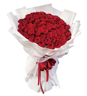 kırmızı gül, beyaz paket gül, sevgiliye çiçek, gül buketi