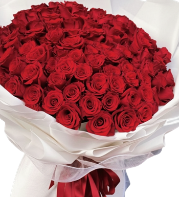 kırmızı gül, beyaz paket gül, sevgiliye çiçek, gül buketi