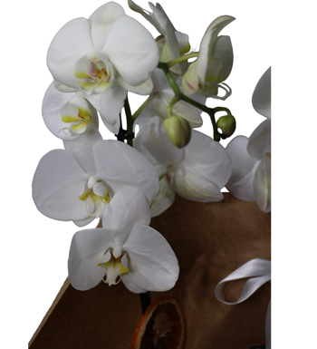 sarıyer maslak çiçek