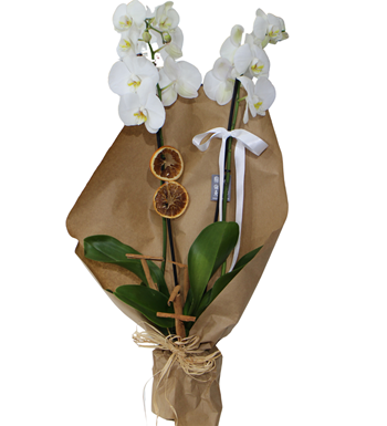 sarıyer maslak çiçek