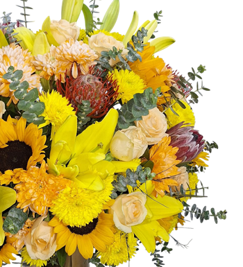 ayçiçeği senfonisi, krc çiçek, maslak çiçek, sarı lilyum al