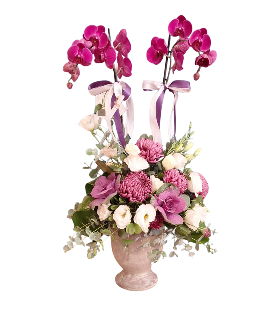 Orkide kategori ikonu