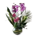 Orkide kategori ikonu