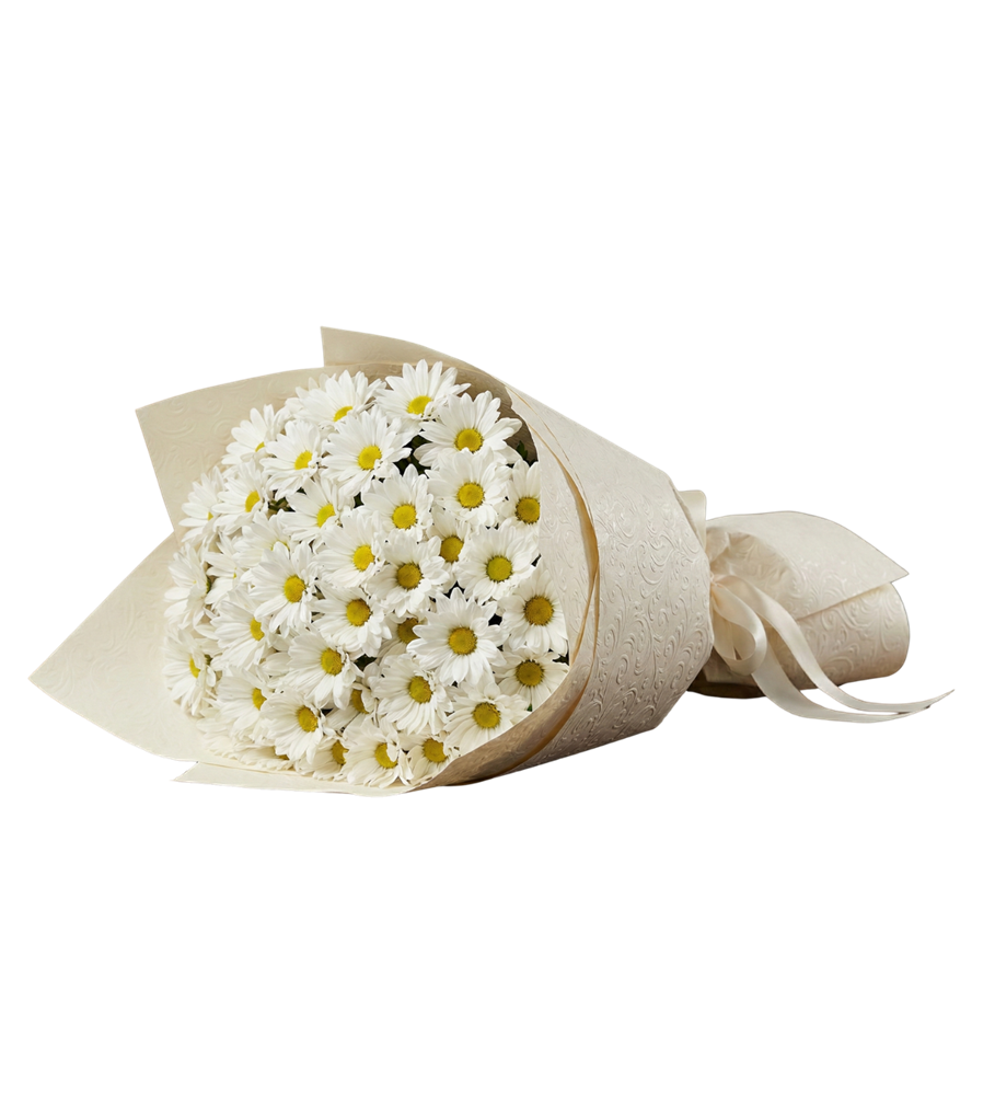 Papatya kategori ikonu