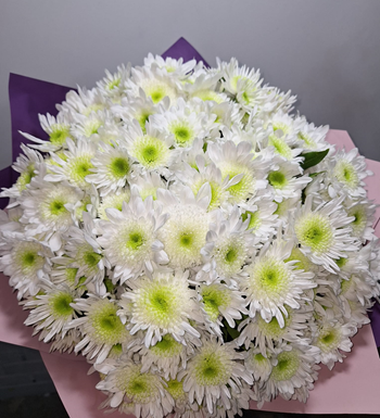 beyaz papatya, papatya buketi, krc çiçek, maslak çiçekçi