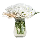 Papatya kategori ikonu