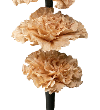 krem karanfil, siyah vazo, modern aranjman, tasarım çiçek