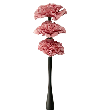 pembe karanfil, siyah vazo, modern aranjman, tasarım çiçek
