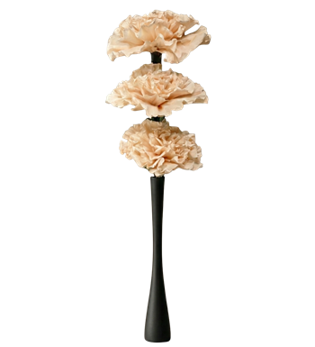 krem karanfil, siyah vazo, modern aranjman, tasarım çiçek