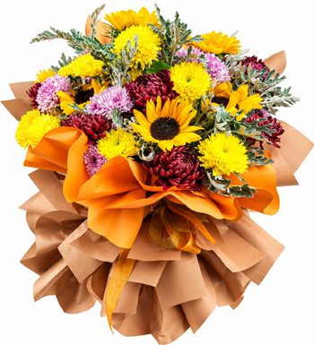 chrysanthemum, krizantem, kasımpatı, krc çiçek, maslak çiçek