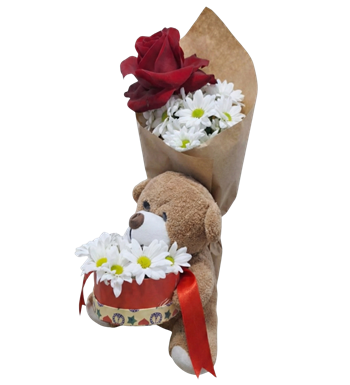 ayıcıklı çiçek, kırmızı gül, beyaz papatya, modern aranjman