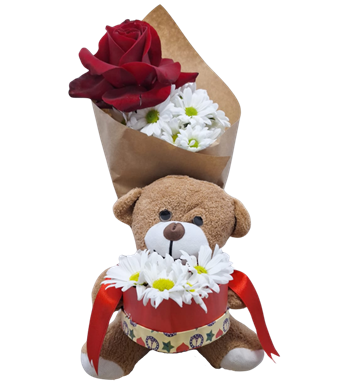 ayıcıklı çiçek, kırmızı gül, beyaz papatya, modern aranjman