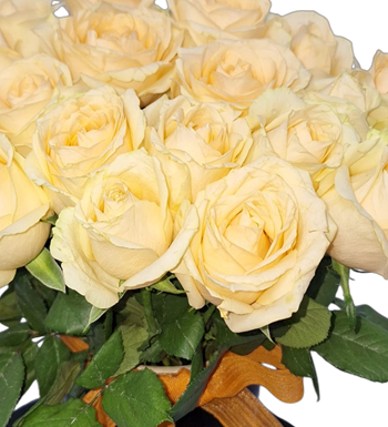 sunset, maslak çiçekçi, krc çiçek, somon güller, çiçek al