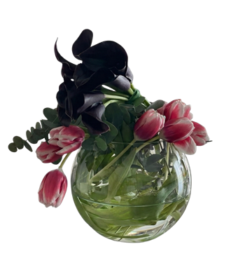 beyaz lale, calla lily, siyah kala, zerafet çiçeği, çiçek al